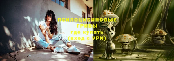 бошки Богородск
