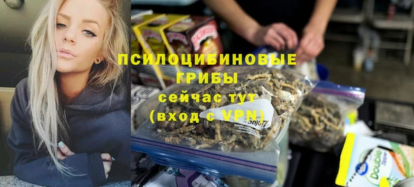 бошки Богородск