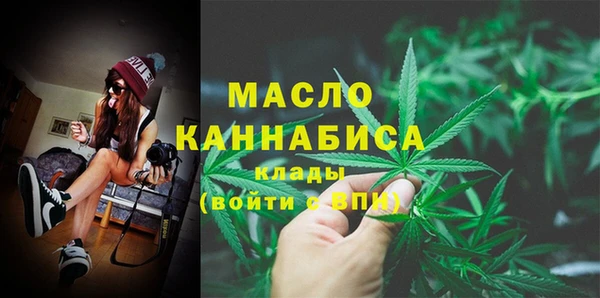 дмт Богородицк